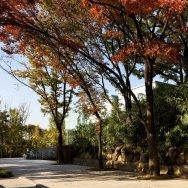 Ahn Jung geun Memorial 13