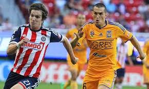 Previa Chivas vs Tigres jornada 16 apertura 2014 futbol mexicano