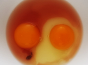 ¿Por abrir huevos separado? Yang huevo