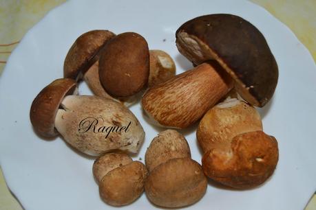 Coca de Setas Variadas