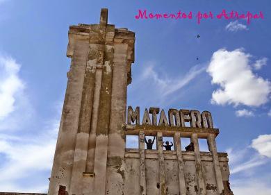 Termas de Carhué + Ruinas de Epecuén: historias y relax