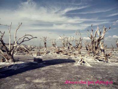 Termas de Carhué + Ruinas de Epecuén: historias y relax