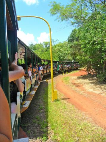 Sobre favoritismos: Parque Nacional Iguazú