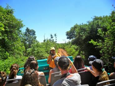 Sobre favoritismos: Parque Nacional Iguazú