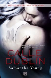 Calle Dublín Book Cover