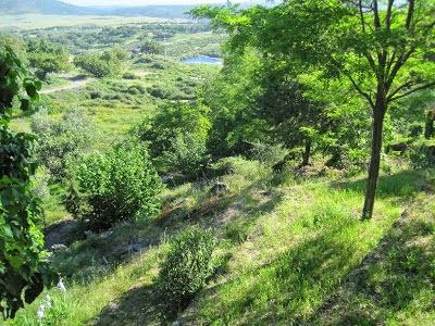 El diminuto monasterio de El Palancar