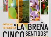 Breña sentidos