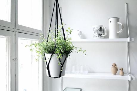 armonioso-comedor-02