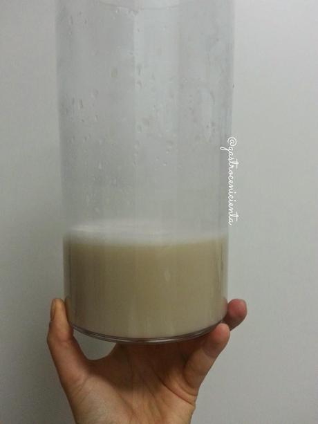 Leche casera de Sésamo + Batido de Papaya (Chufamix)