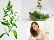 Paico para eliminar parasitos