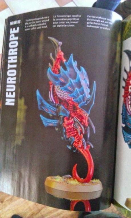 Ultima hora!Neurothropes y Venomthropes a la vista