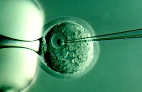 SE REACTIVA LA TERAPIA GÉNICA