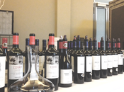 Viña Emiliana seleccionada para dictar seminario orgánico Alemania