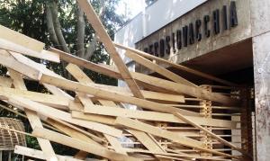 People meet in… oh my wood!