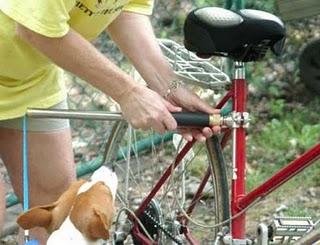 CICLE-DOG