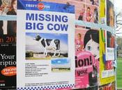 busca vaca gigante