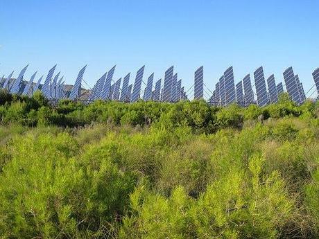 vistas de la planta fotovoltaica