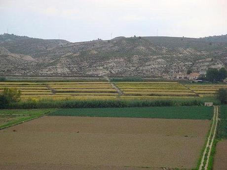 Paisaje Calasparra
