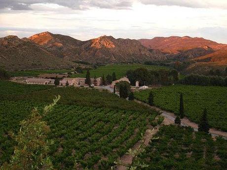 Panorámica de árboles frutales