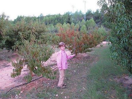 Tirso de paseo entre frutales