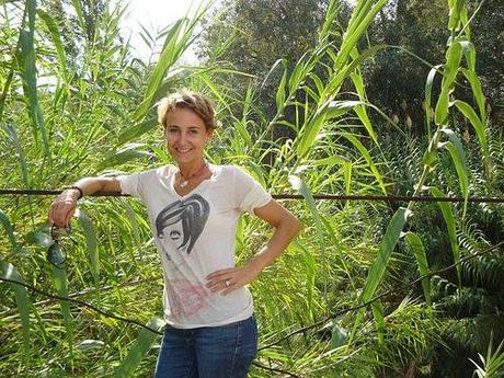 Puente sobre el Río Segura