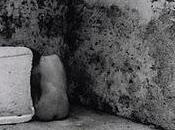 piel cobra siempre peaje heridas.Marian Raméntol...