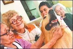 Perros para tratar el Alzheimer y para chicos conflictivos