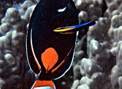 La reputación en tiempos de la web