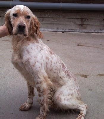 BRISA  ¿QUE HACE UNA CHICA COMO TU, EN UN SITIO COMO ESTE?