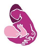 Somos lactivistas Somos lactivistas