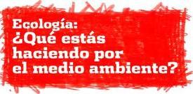 “Bases ecologistas para una sociedad con futuro”