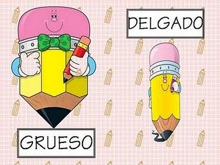 Láminas de Conceptos