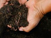 Zapotepamba produce abono certificado llegará todo país