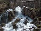 Bienvenidos página blog espejos Rei...