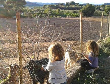 Dejad que los niños se alejen del televisor...