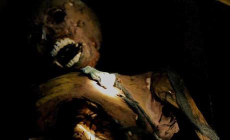 Antología de Terror - Parte 3 - Found Footage, Arabi