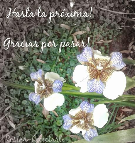 Remera Renovada Remera Renovada