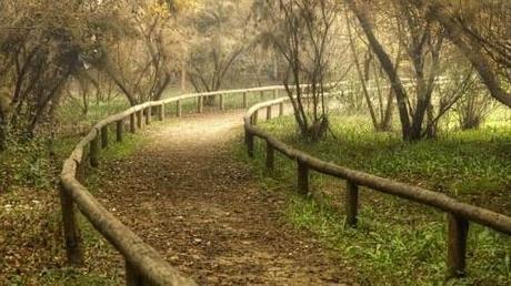 III Carrera Gran Fondo del Corredor Verde del Guadiamar 2015