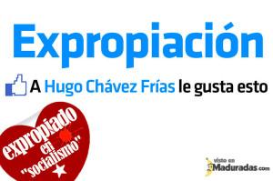 #expropiación de viviendas vacías