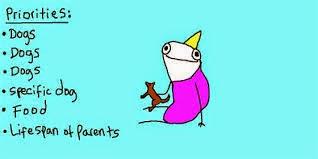 Hyperbole and a Half: Unfortunate Situations, Flawed Coping Mechanisms, Mayhem, and Other Things That Happened