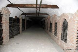 INTERIOR DE LA BODEGA TOURIST COMPLEX GVIRABI