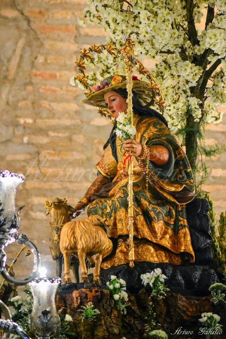 Dos meses después... Galería fotográfica de la Procesión Triunfal de Gloria de la Divina Pastora de Cantillana (V)