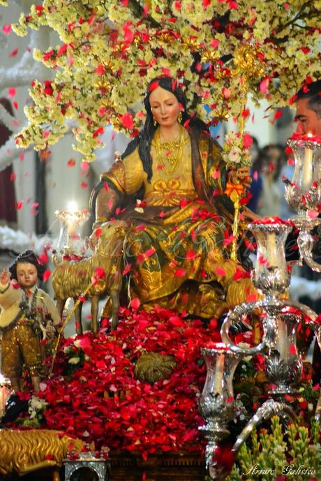 Dos meses después... Galería fotográfica de la Procesión Triunfal de Gloria de la Divina Pastora de Cantillana (V)