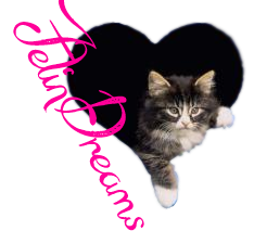 Catherine By April Linder (Reseña)