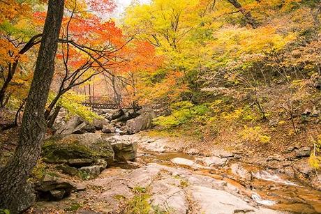 Otoño en Seoraksan I: La cascada de Biryeong