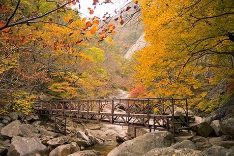 Otoño en Seoraksan I: La cascada de Biryeong