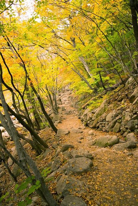 Otoño en Seoraksan I: La cascada de Biryeong