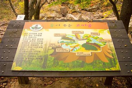 Otoño en Seoraksan I: La cascada de Biryeong