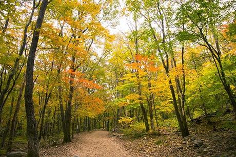 Otoño en Seoraksan I: La cascada de Biryeong
