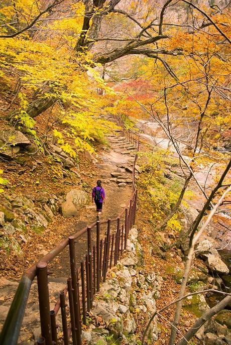 Otoño en Seoraksan I: La cascada de Biryeong